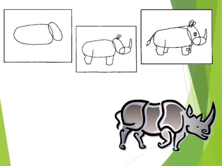 Поэтапное рисование носорога