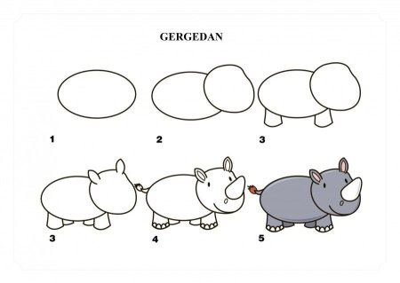 Как нарисовать носорога для детей поэтапно