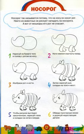 Поэтапный рисунок носорога для детей