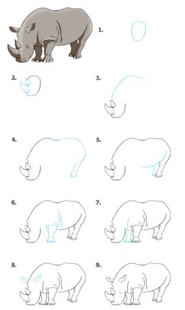Поэтапное рисование носорога для детей