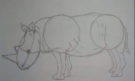 Поэтапное рисование носорога