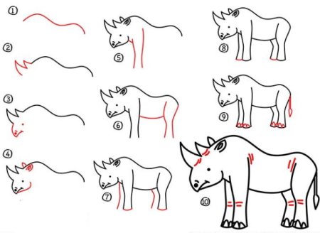 Как нарисовать носорога для детей поэтапно