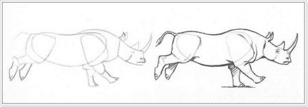 Носорог рисунок легкий