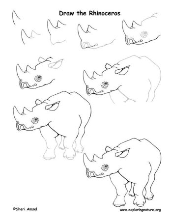 Поэтапное рисование носорога