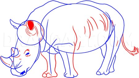 Носорог рисунок поэтапно (42 фото)