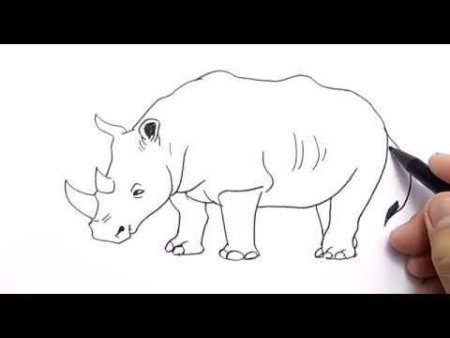 Носорог карандашом для срисовки