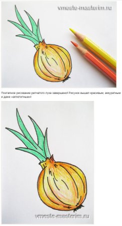 Луковица карандашом