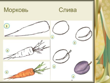 Поэтапное рисование овощей морковь