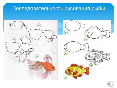 Урок рисования рыбки