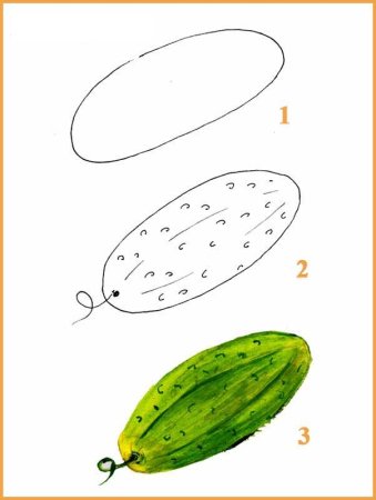 Поэтапное рисование огурца для детей