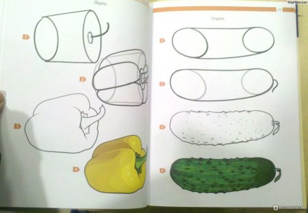 Нарисовать огурец поэтапно