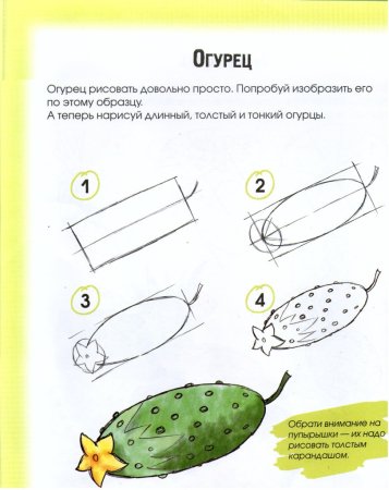 Поэтапное рисование овощей