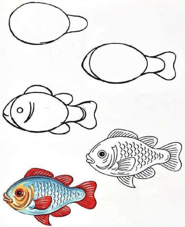 Этапы рисования рыбки для детей