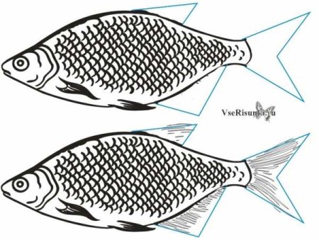 Как рисовать рыбу