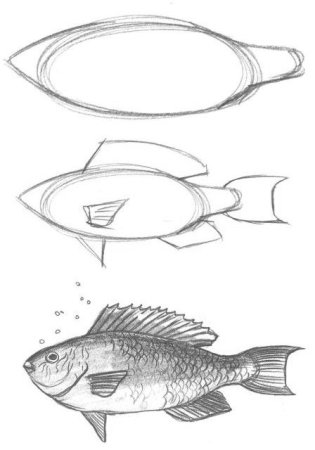 как легко нарисовать рыбу | Дзен