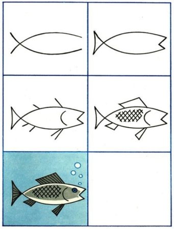 Поэтапное рисование рыбы