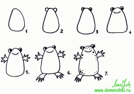 Поэтапное рисование лягушки