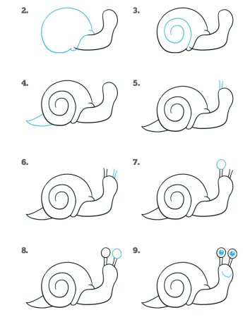 Улитка поэтапное рисование