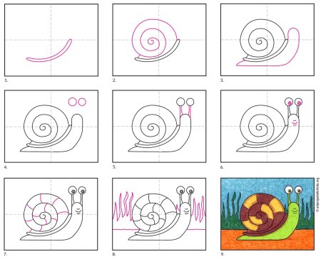 Улитка поэтапное рисование