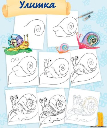 Улитка поэтапное рисование