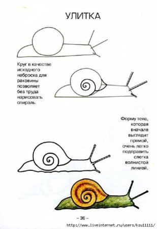Поэтапное рисование улитки для детей