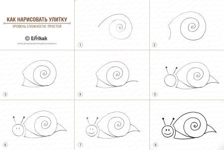 Рисование улитка в средней группе