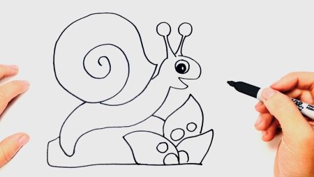 Лёгкие рисунки улитки
