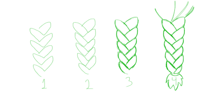 Как рисуется косичка