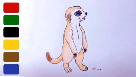 Сурикат рисунок для детей