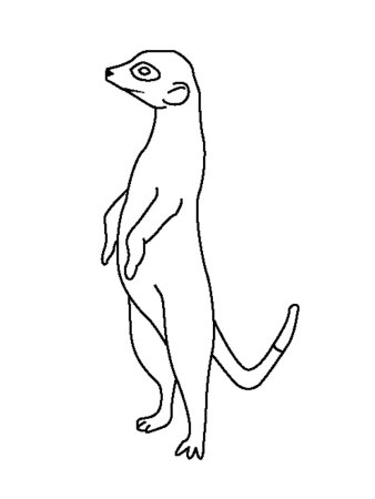 Сурикат рисунок