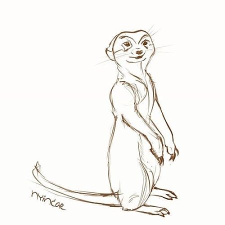 Сурикат арт