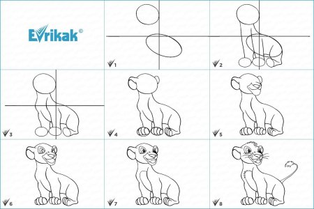 Сурикаты контур