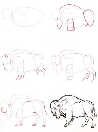Рисование по этапам животных