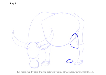 Пошаговый рисунок зубра