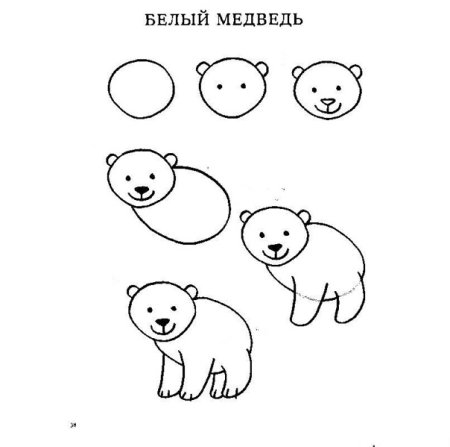Поэтапное рисование белого медведя