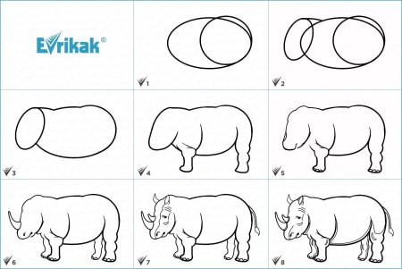 Как нарисовать носорога