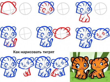 Как нарисовать тигра поэтапно