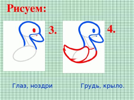 Рисование гуся
