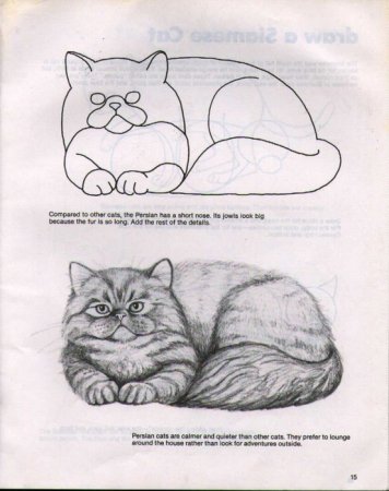 Манул нарисовать