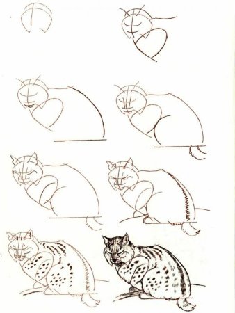 Схема рисования кошки