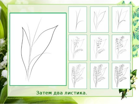 Схема рисования ландыша