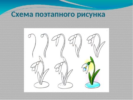 Поэтапное рисование ландыша