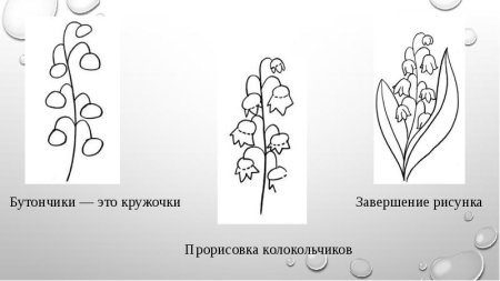 Схема рисования ландыша