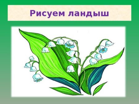 Нарисовать Ландыш