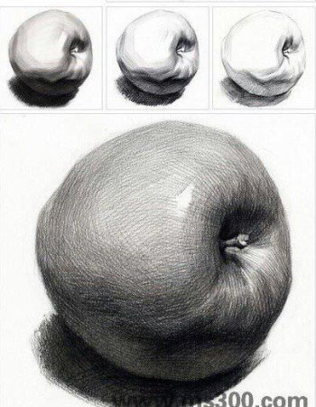 Яблоко штриховка