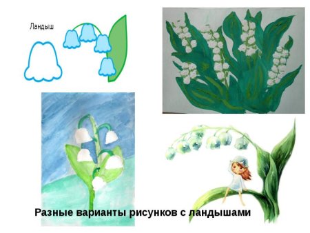 Ландыш Майский разукрашка