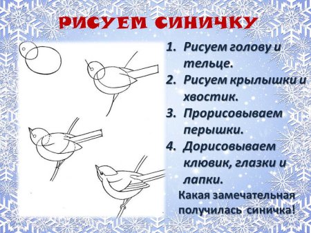 Поэтапное рисование синицы