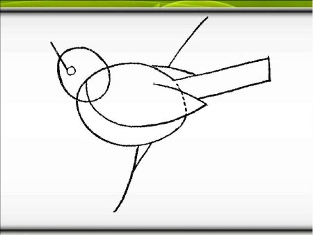 Рисование птички в старшей группе