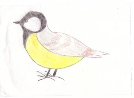 Поэтапное рисование снегиря 1 класс