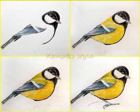 Синичка рисунок пошагово